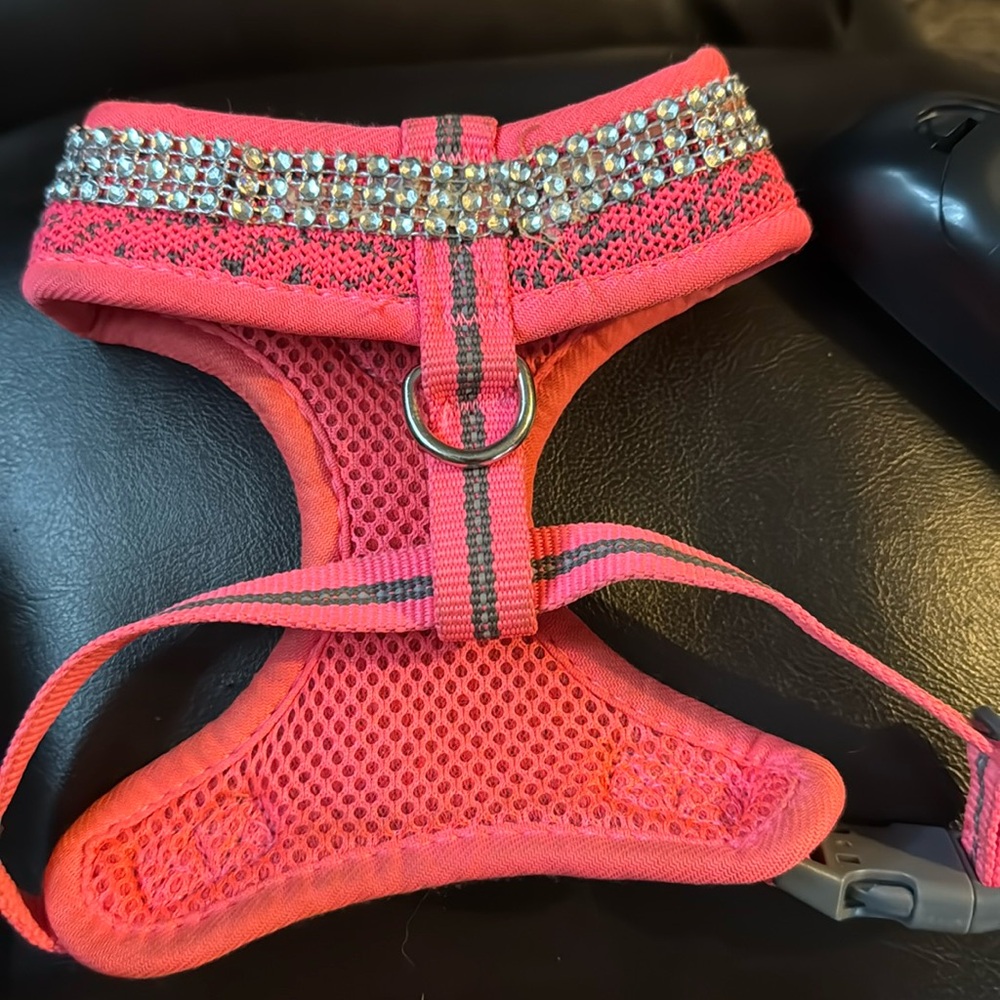 Doggy pj’s. Bling halter